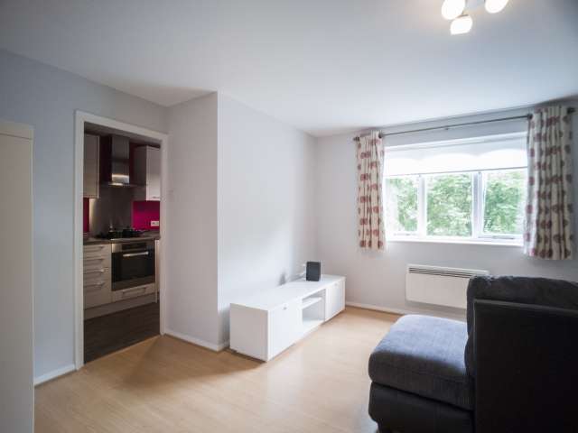 Stylish 2-bedroom apartment to rent in Tower Hamlets, London