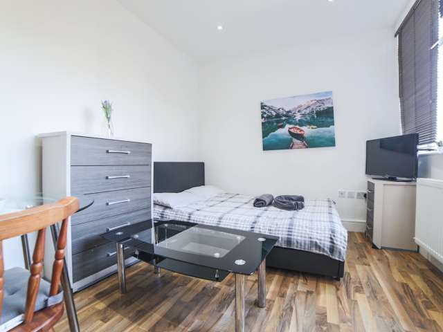 Southwark Studio Flats For Rent Spotahome