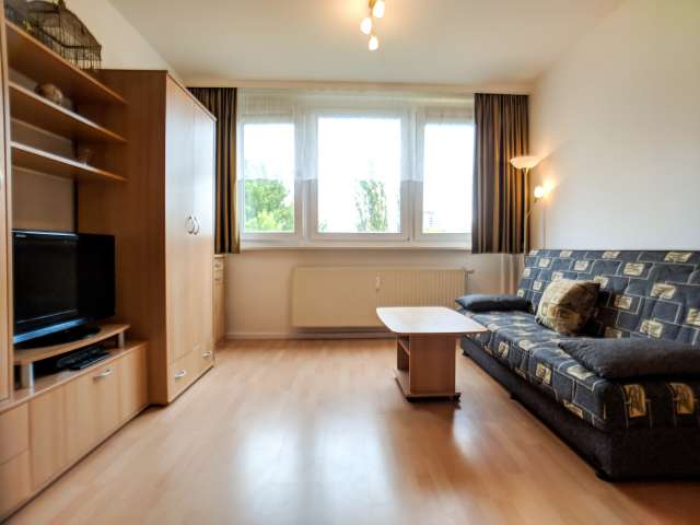 Studio-Wohnung zu vermieten in Mitte, Berlin