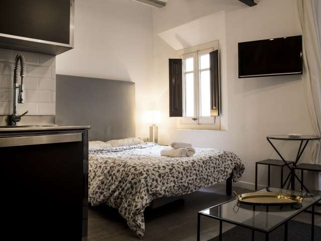 Hip studio apartment for rent in Barri Gòtic, Barcelona