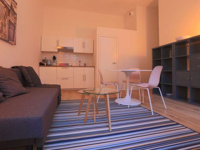 Appartamenti Economici In Affitto Bruxelles Spotahome