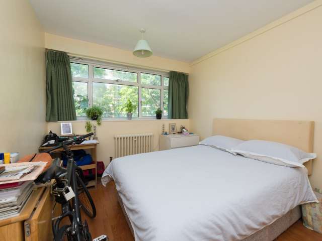 Ideal room in flat in Westminster, London