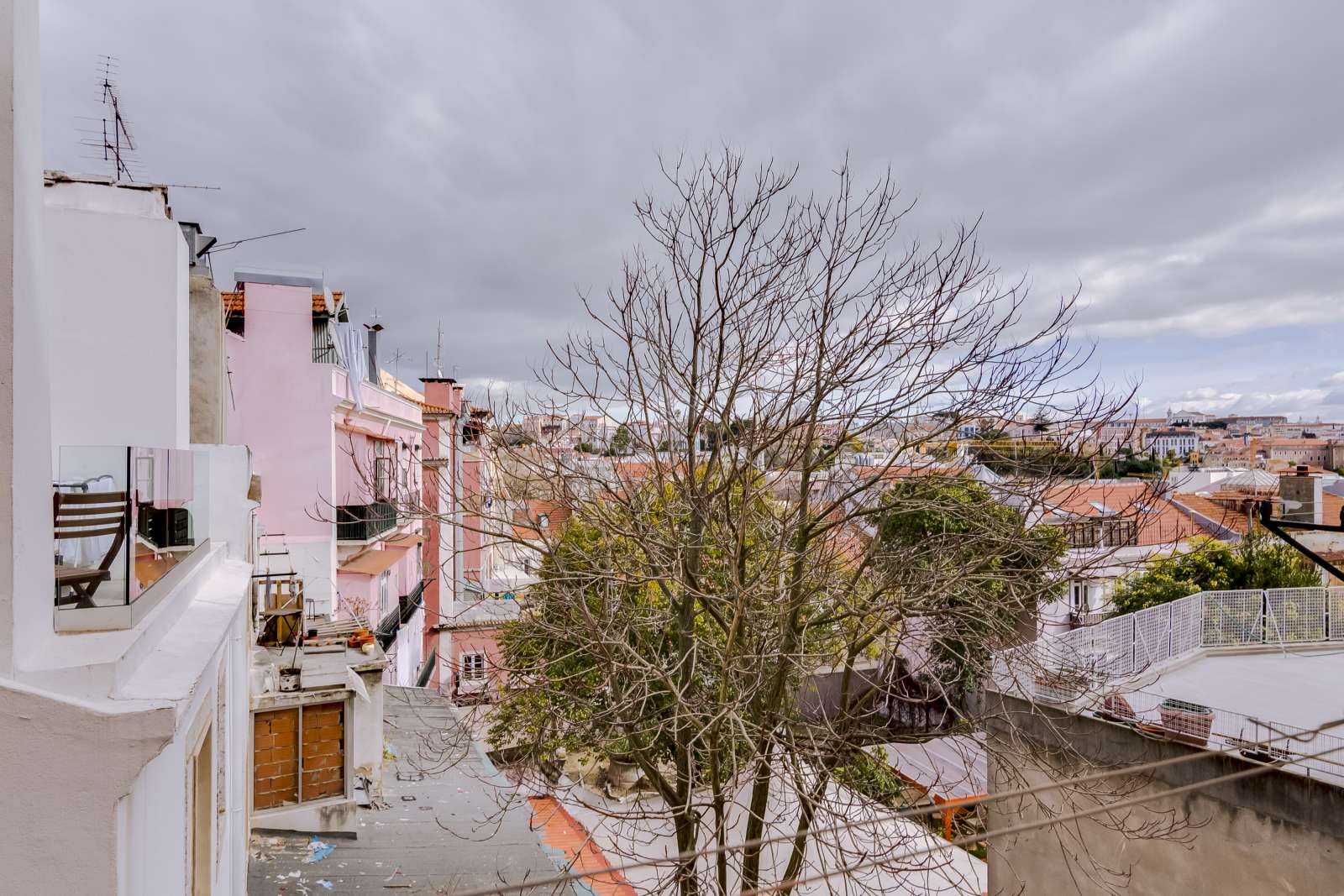 Wonderful 1-bedroom apartment for rent near Botanical Garden in Santo António