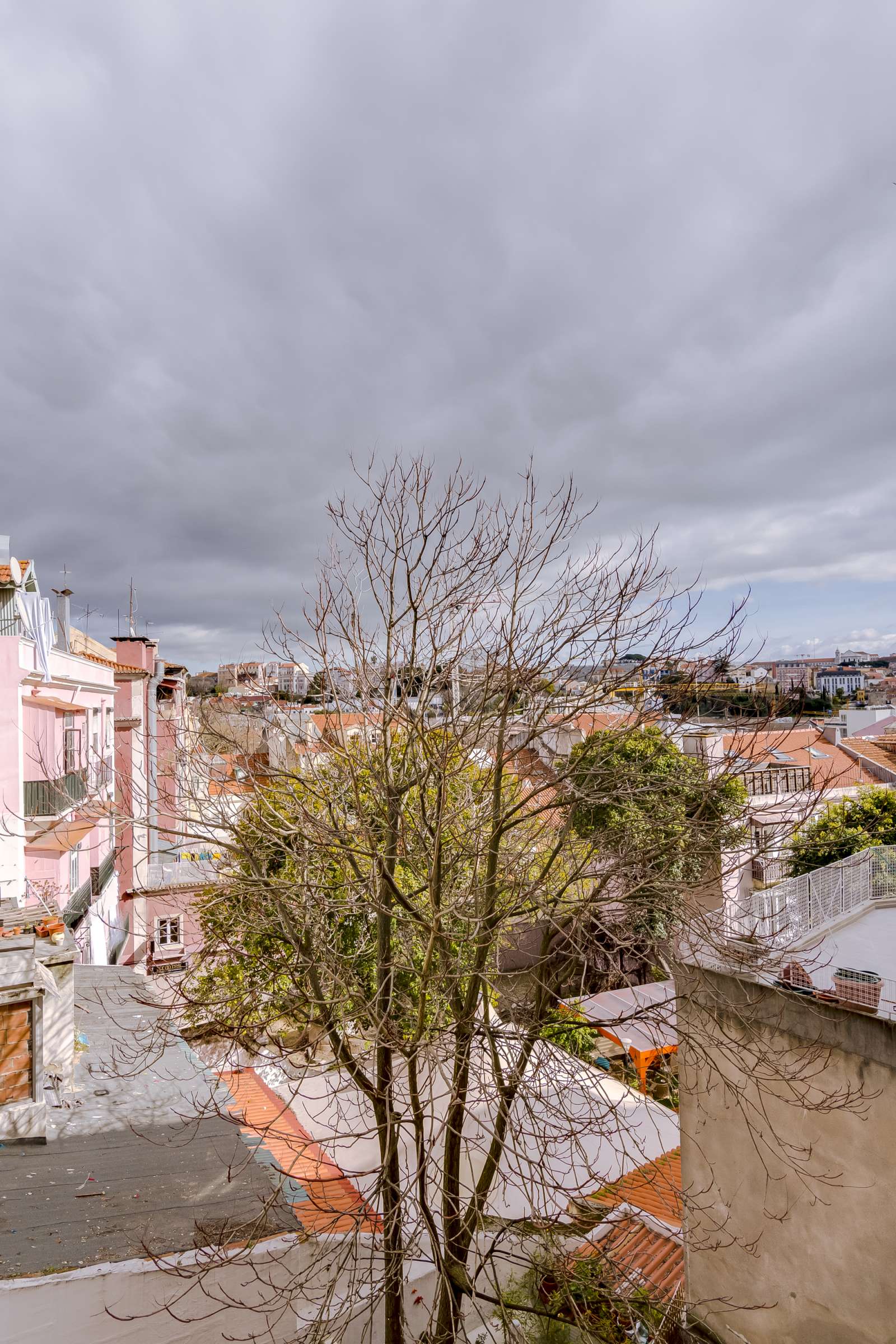 Wonderful 1-bedroom apartment for rent near Botanical Garden in Santo António