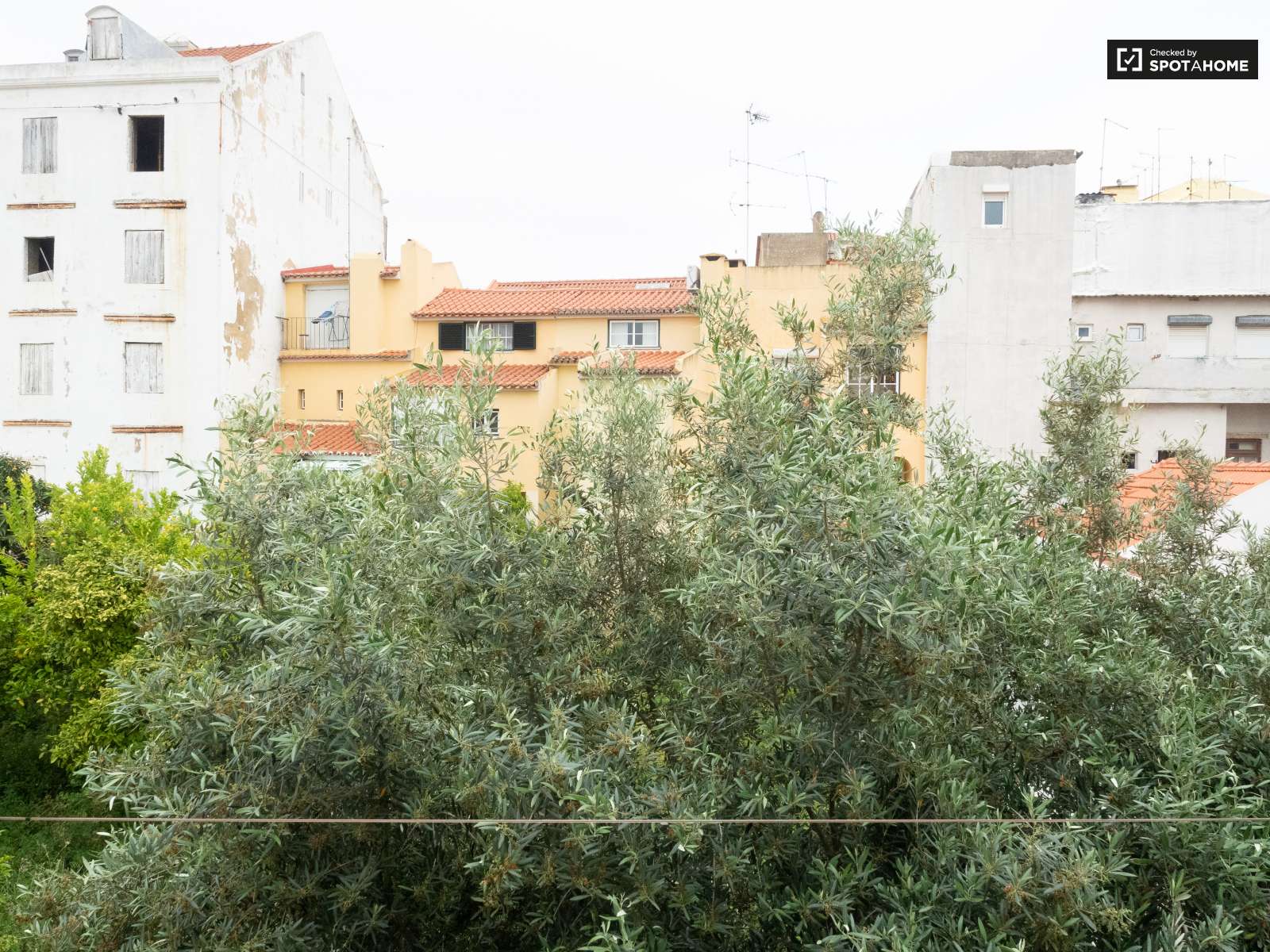 Charming 2-bedroom apartment for rent in Estrela