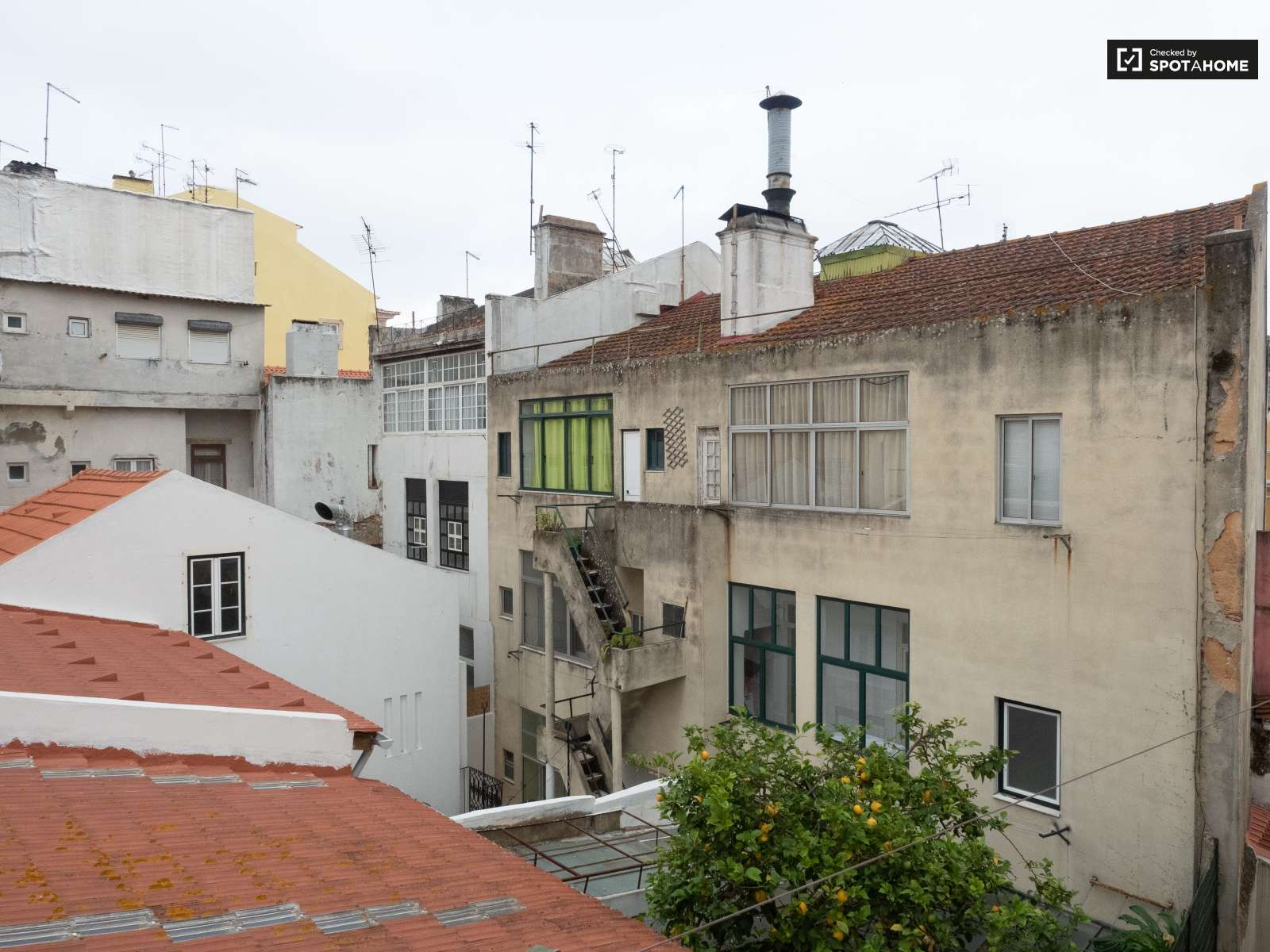 Chic 2-bedroom apartment for rent in Estrela