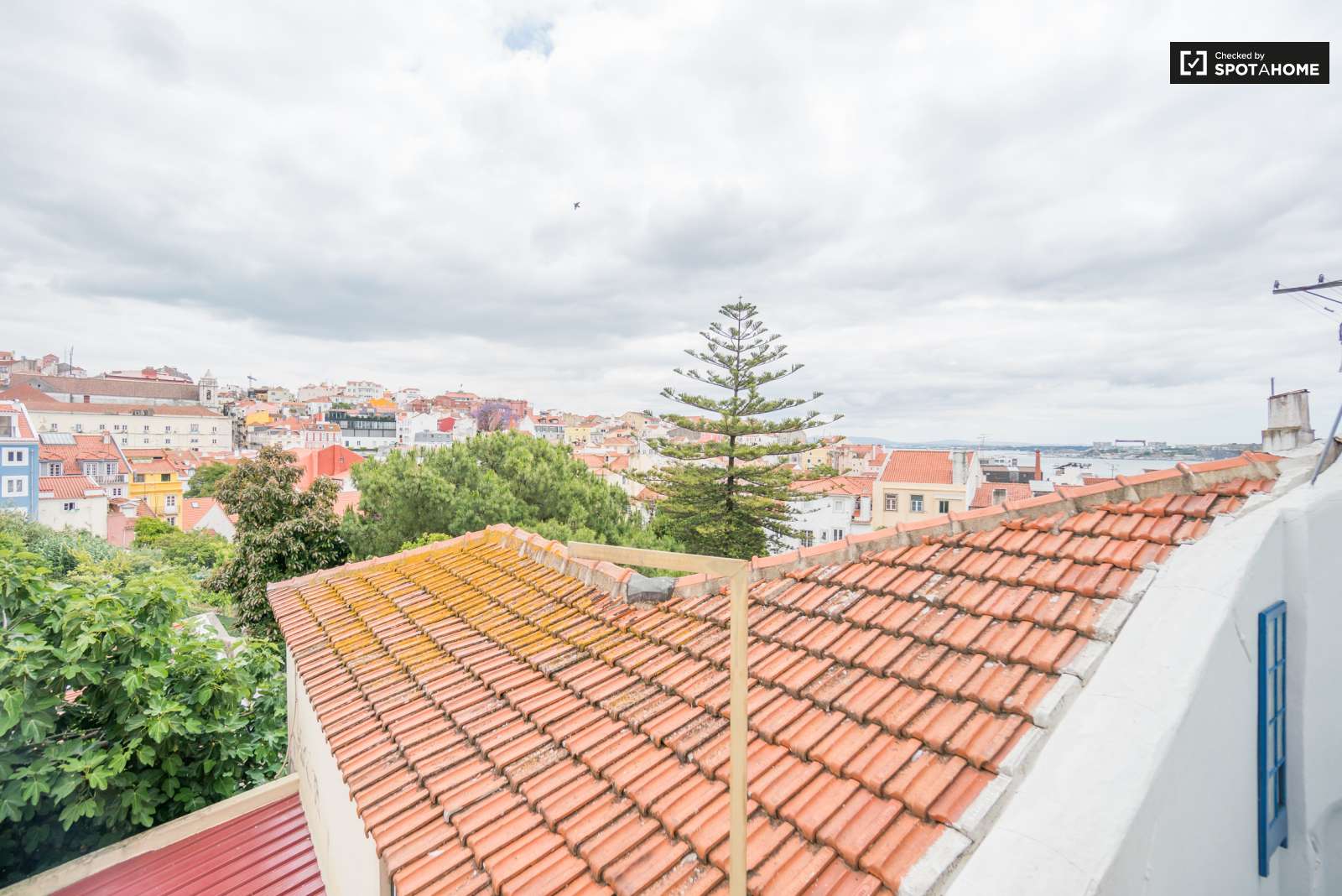 Beautiful 1-bedroom duplex apartment with terrace for rent in Santos