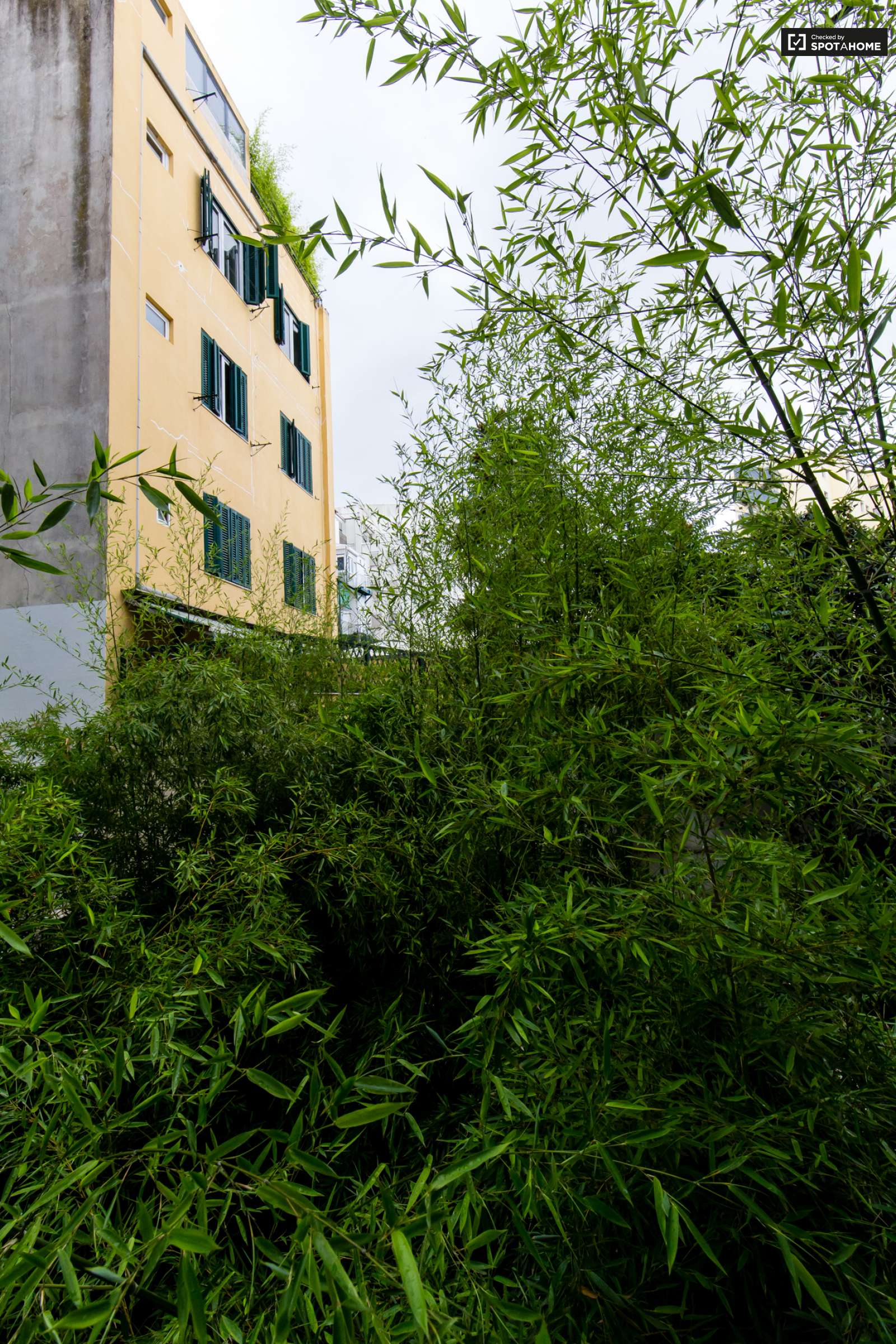 Single Bed in Modern rooms for rent in 6-bedroom apartment in Avenidas Novas