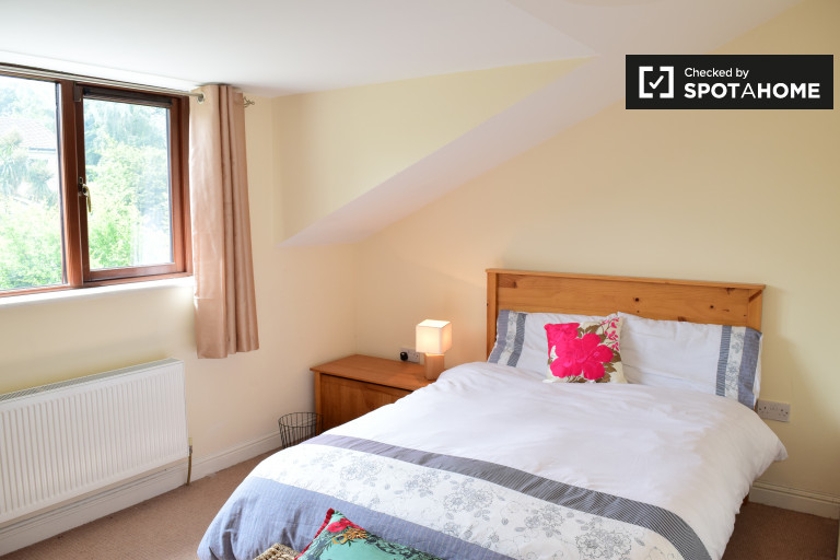 Pictures Of Rooms apartments and rooms for rent in dublin | spotahome Pictures Of Rooms apartments and rooms for rent in dublin | spotahome